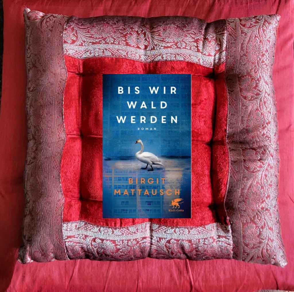 Ein Blick in eine nahe liegende&nbsp;Fremde