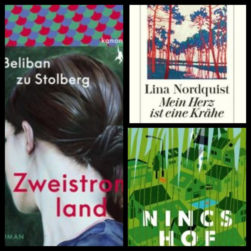 Lesemonat Dezember 2023