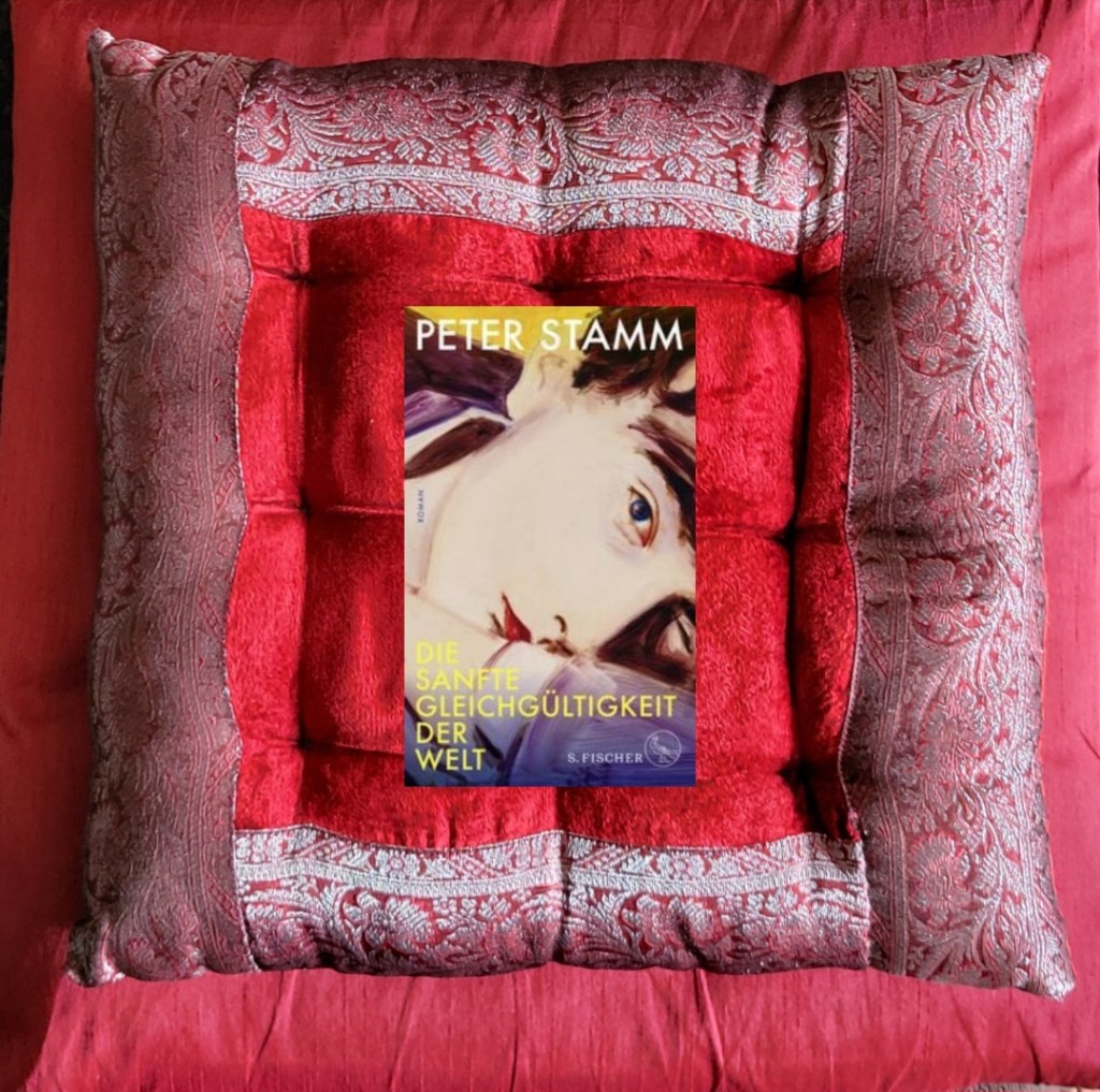 Kurzrezension zu „Die sanfte Gleichgültigkeit der&nbsp;Welt“
