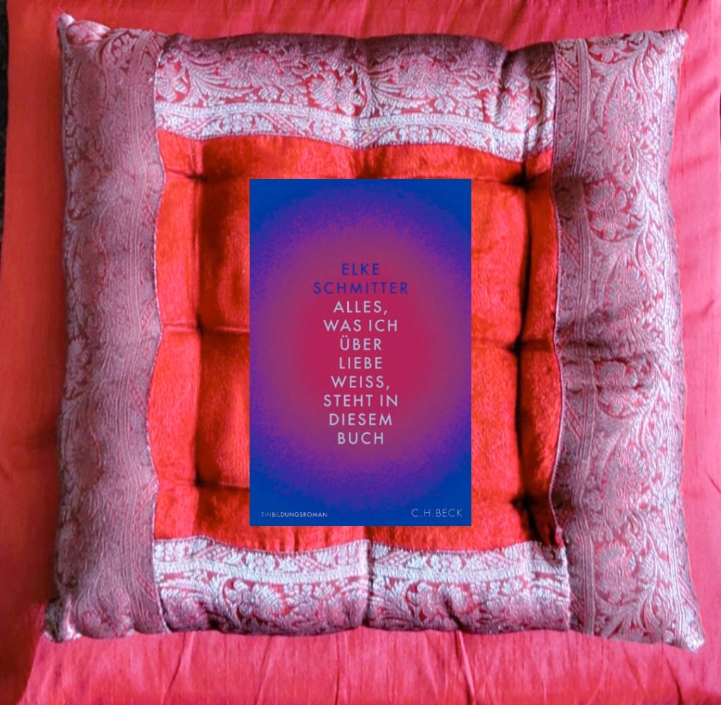 Bildung über die&nbsp;Einbildung