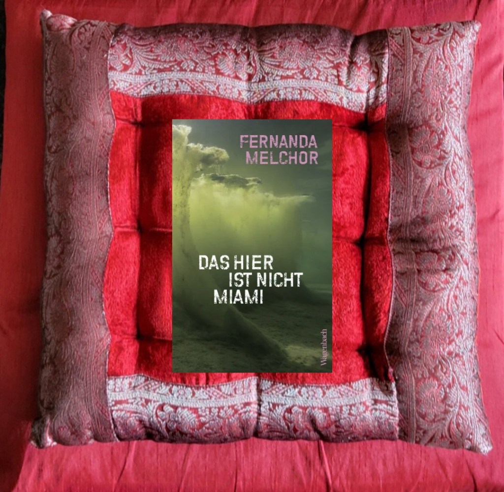 Das hier ist&nbsp;Veracruz!